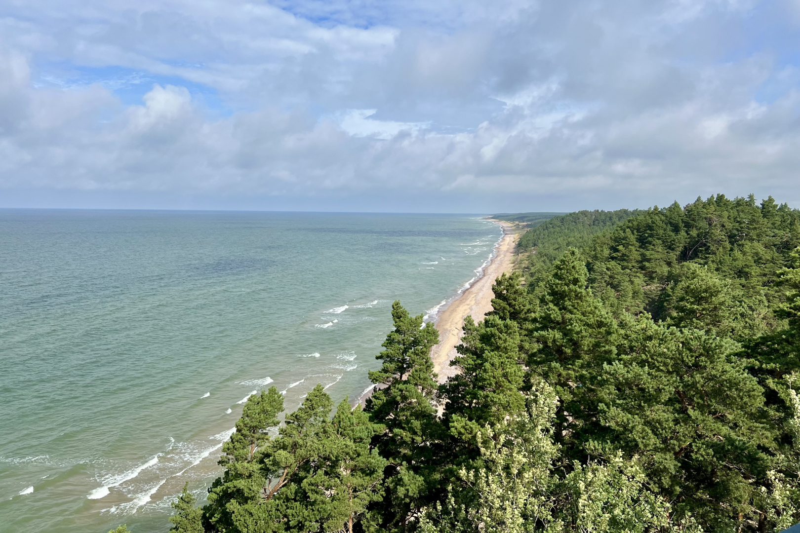 Jūras un mežu ainava